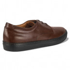 Dafne Leather Derby Sneakers, Brown