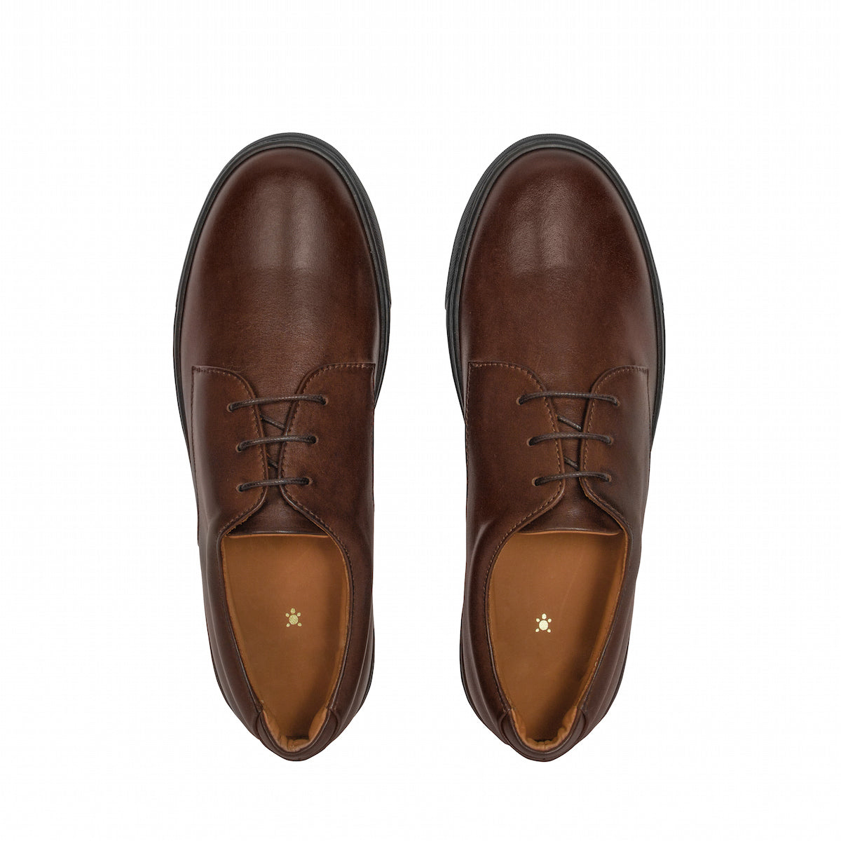 Dafne Leather Derby Sneakers, Brown